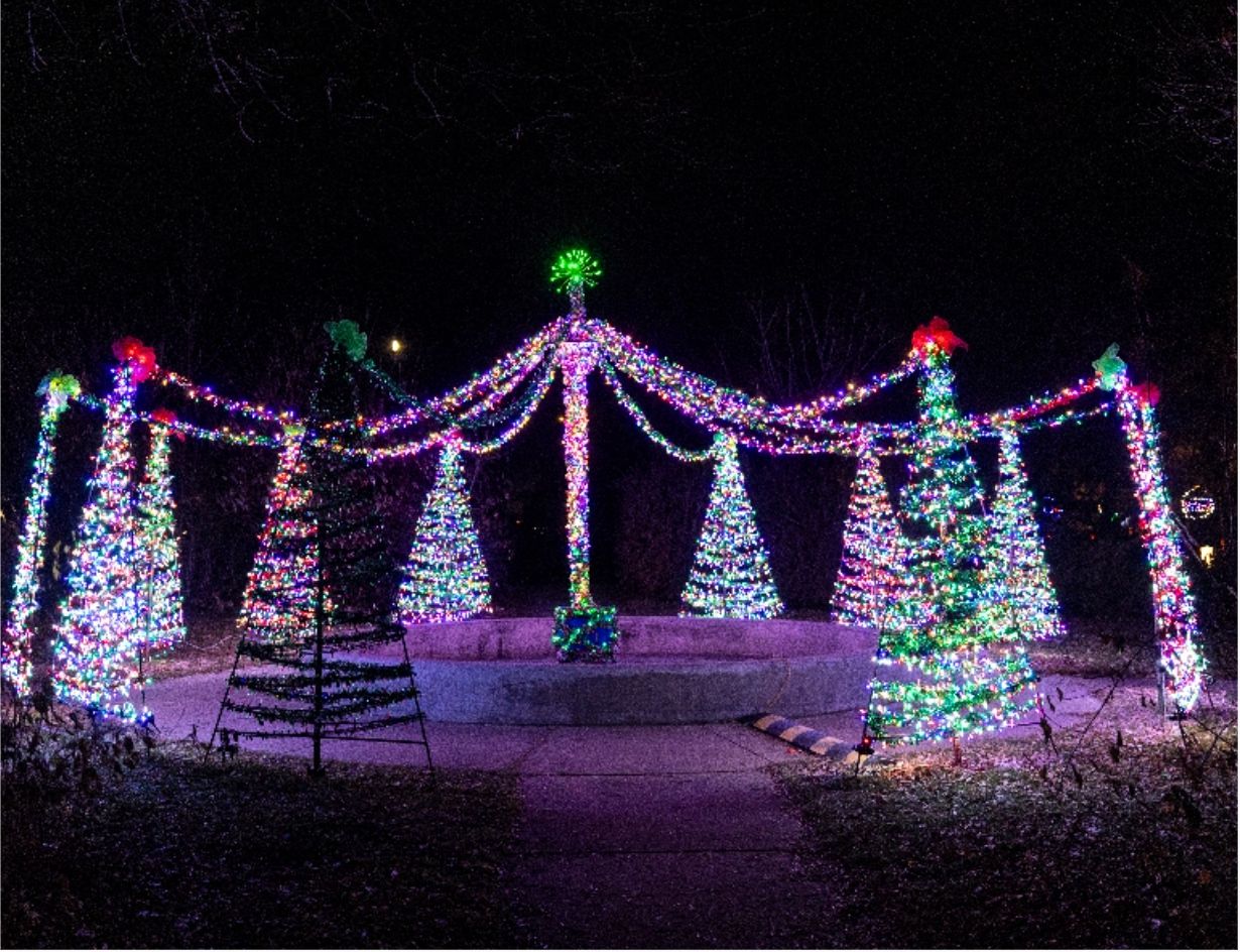 A display of holiday lights shaped into Christmas trees positioned in a circle at Festival of Lights.